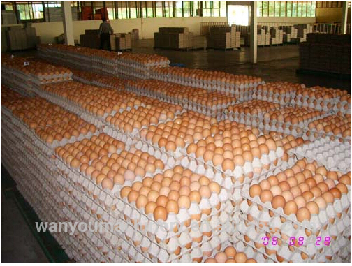 ホットな2015卵トレイマシンの卵料理paperpacking無駄マシン-包装機械を形作る問屋・仕入れ・卸・卸売り