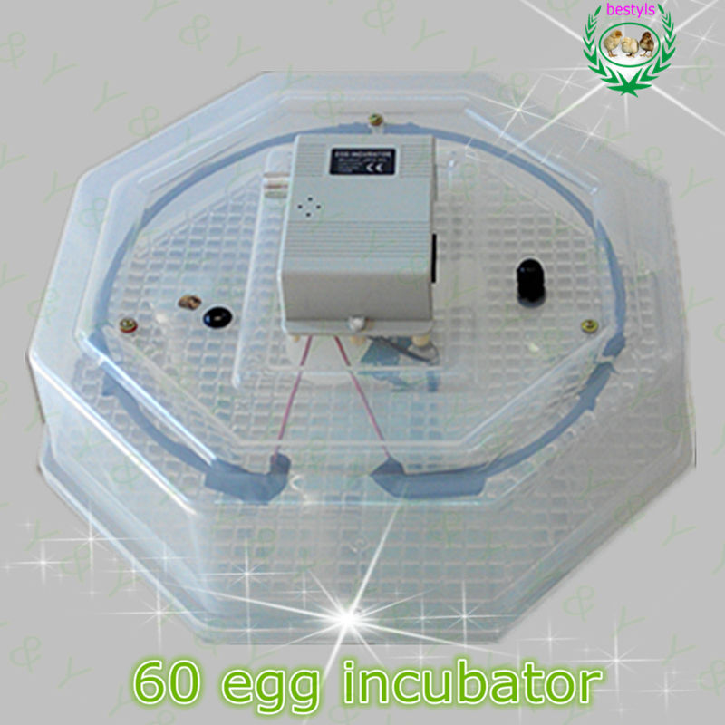 卵インキュベーター卵のハッチャー60jn2-60中国製販売のための使用される鶏の卵のインキュベーター-孵卵器問屋・仕入れ・卸・卸売り
