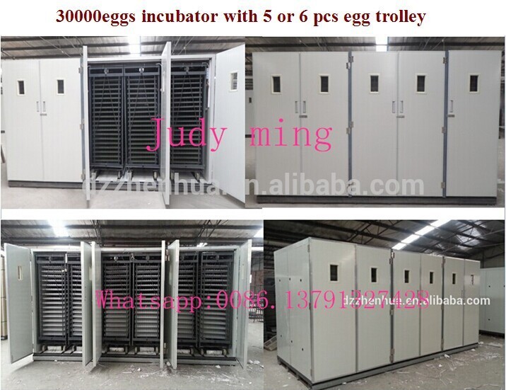 完全自動卵インキュベーターceが承認鶏卵インキュベーターグレート品質大きな工場ソーラー卵インキュベーター-孵卵器問屋・仕入れ・卸・卸売り